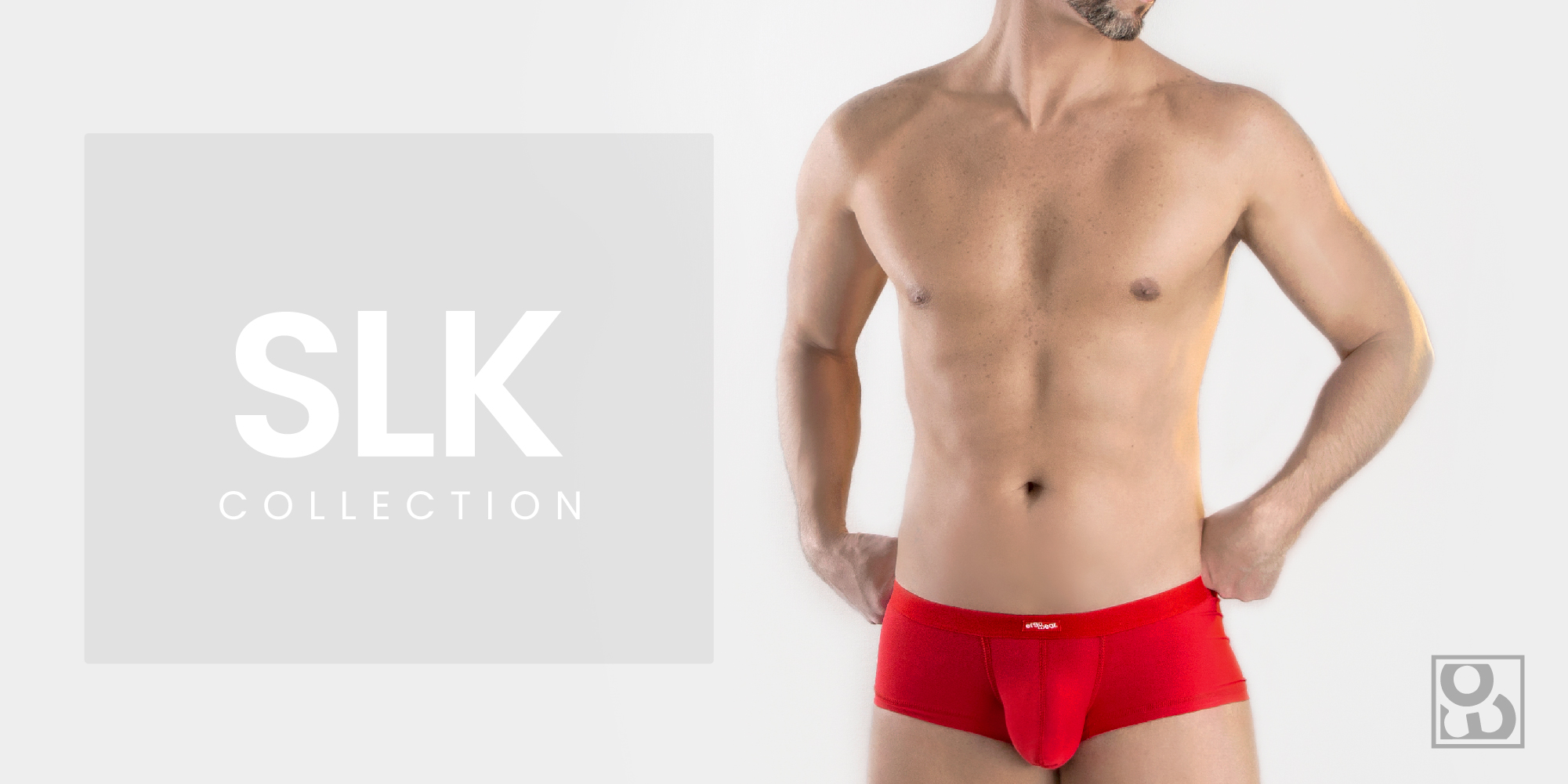 SLK Banner