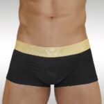 FEEL XV Boxer - Black/Gold