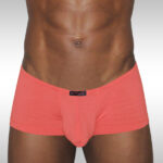 X3D Modal Mini Boxer - Dusk