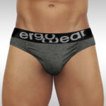 FEEL Modal Brief - Gray