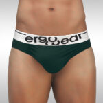 FEEL Modal Brief - Pine