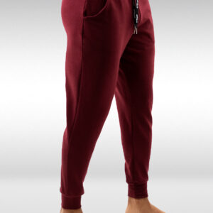 GYM Jogger - Burgundy - Image 3
