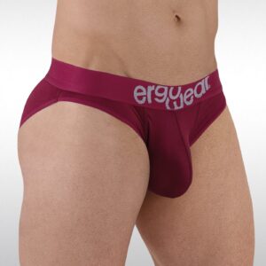 HIP Bikini - Red Plum - Image 2