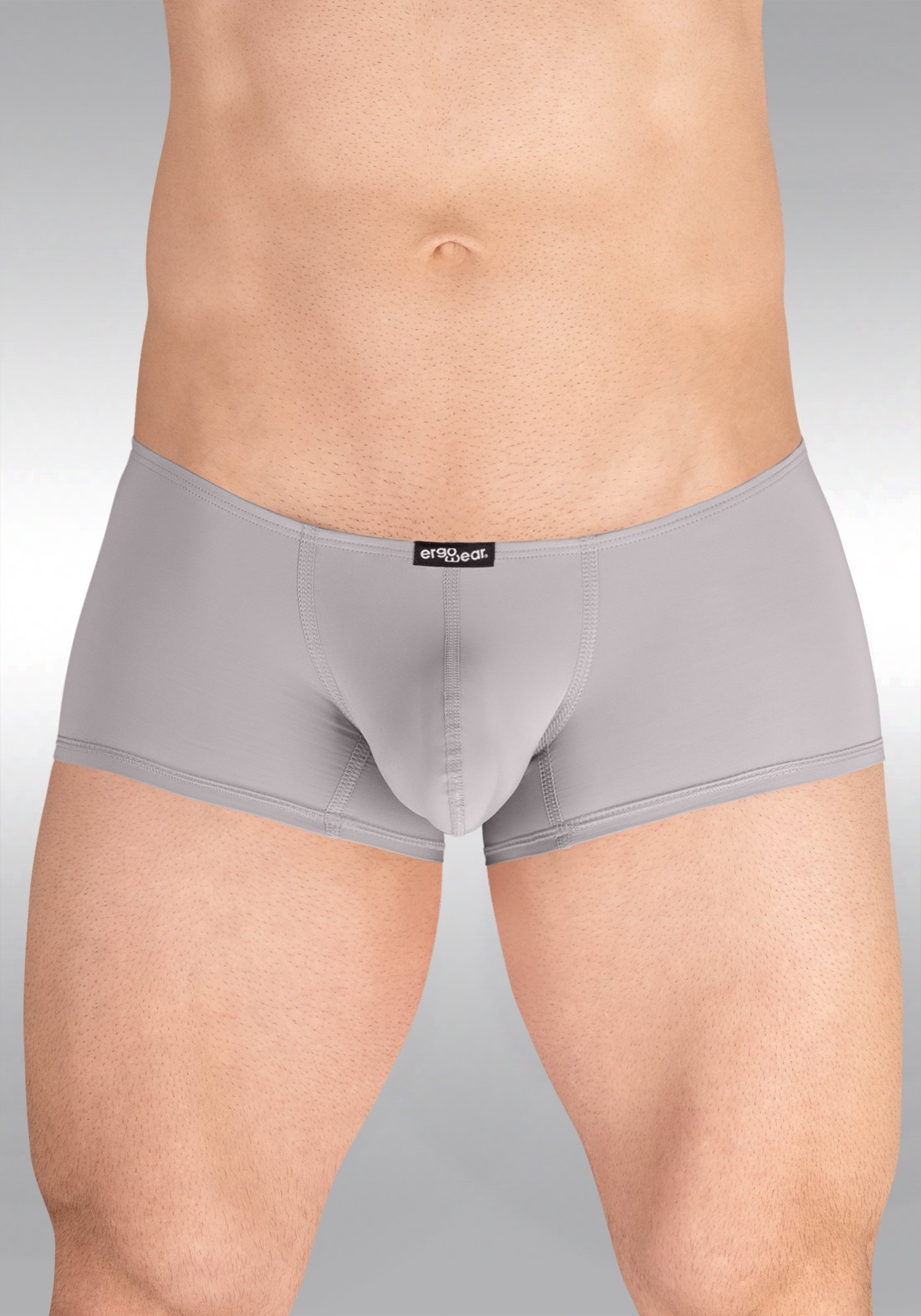 Mini-Boxer-Silver-Gray-Front.jpg