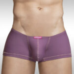 X4D Mini Boxer - Marsala