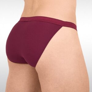 SLK Bikini - Burgundy - Image 3