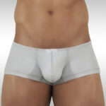 X4D Mini Boxer - Chrysler